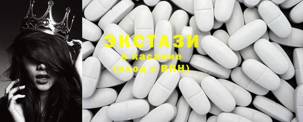 дмт Богданович