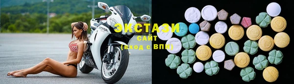 дмт Богданович