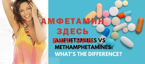 дмт Богданович