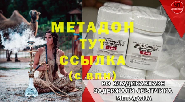 дмт Богданович