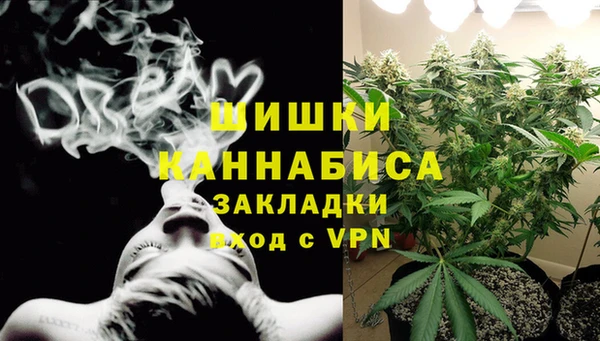 дмт Богданович