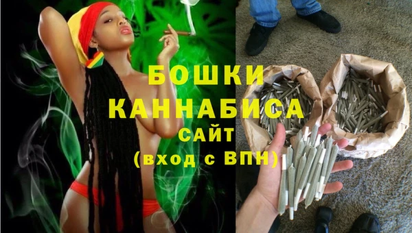 дмт Богданович