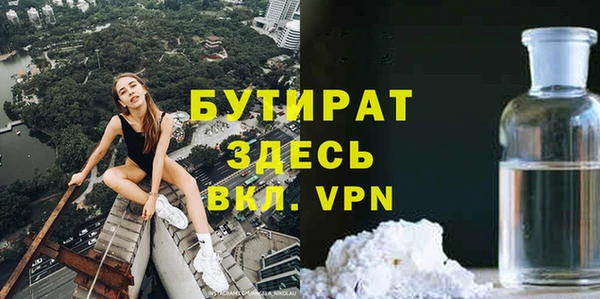 дмт Богданович